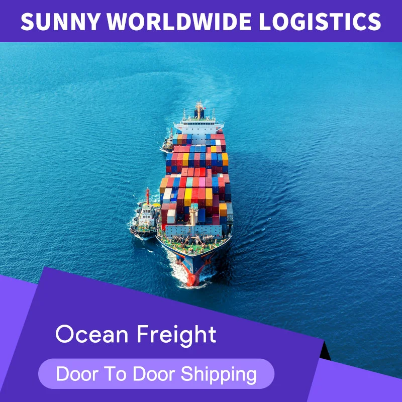 porcelana Su mejor transitario de China a EE. UU. Reenvío de carga