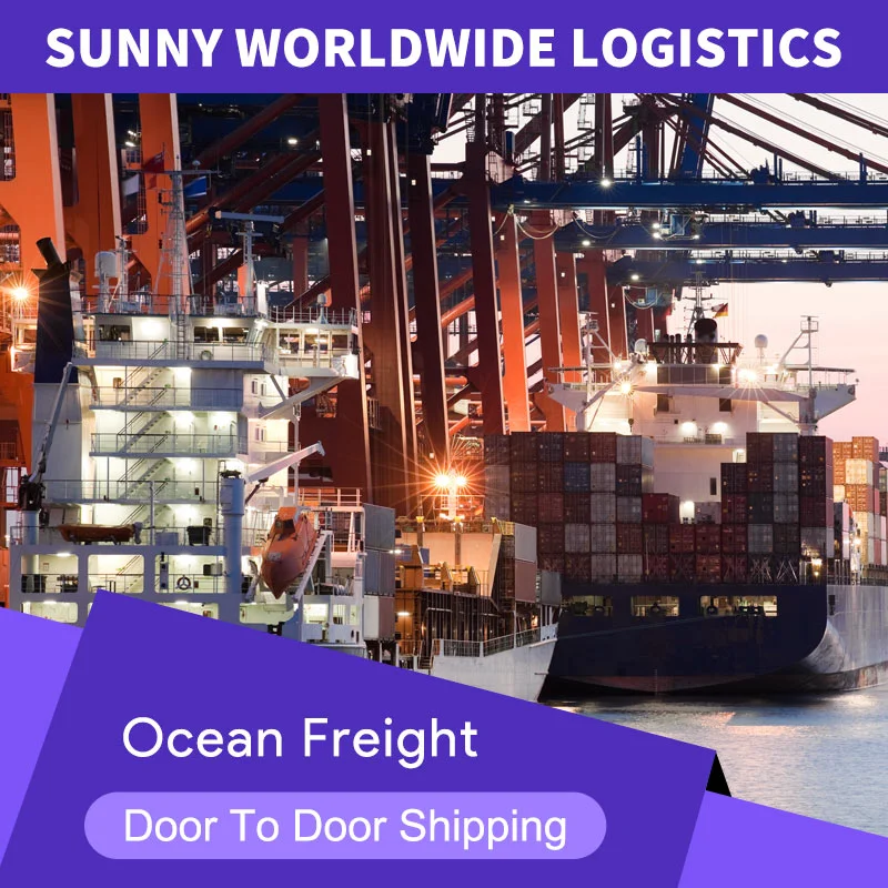 porcelana Servicios de agente de envío para Sea Freight a Canadá desde China Reenvío de carga