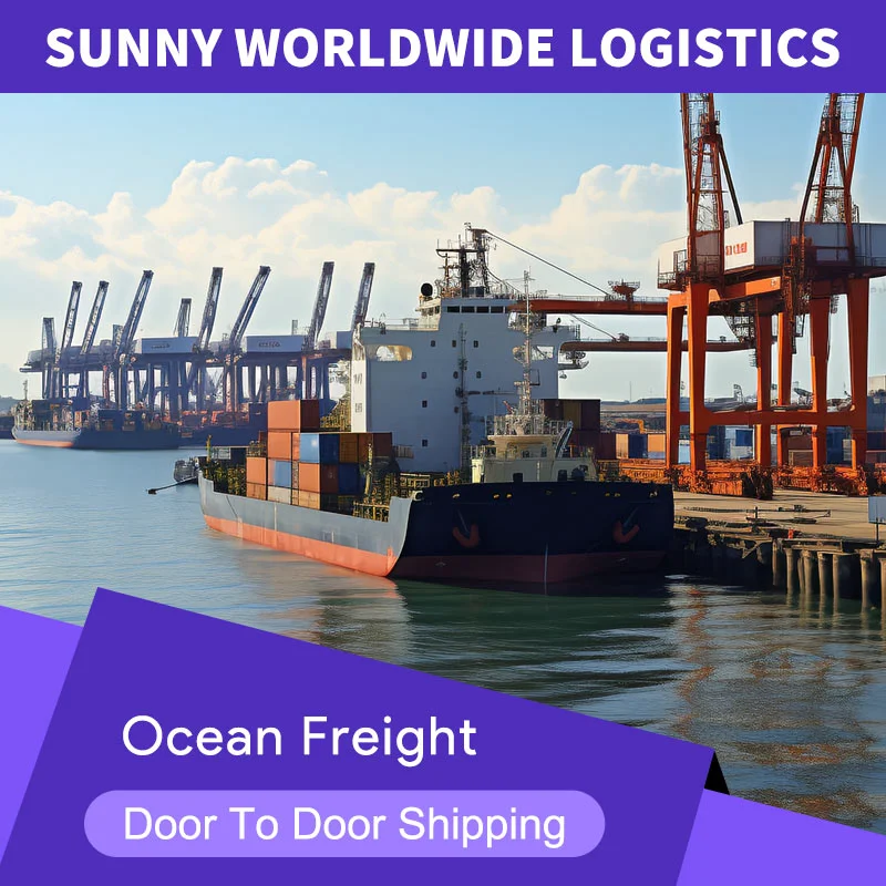 China Sea Shipping Logistics Services to the Caribbean from China container shipping agent Freight Forwarder
