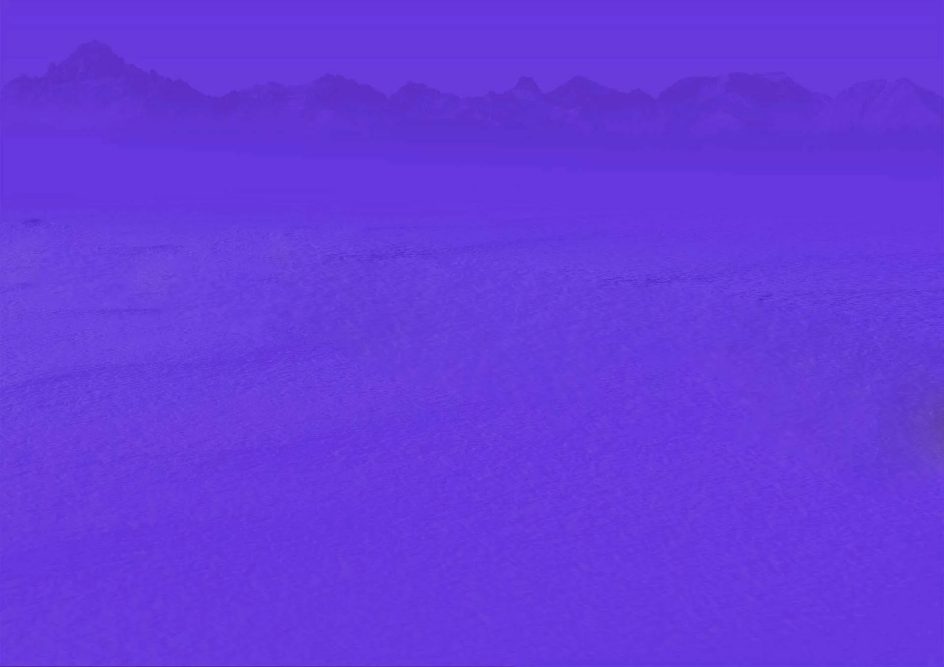 freight forwarding services