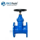 China DIN F4 Ductile Iron DN80 DN100 Resilient Seated Flange Gate Valve PN16 for Water manufacturer