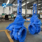 China Valve Manufacturers Suppliers BS5163 300mm Ductile Iron Metal Seated Gate Valve DN300 DN400 PN16 Prices manufacturer