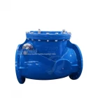 China BS5153 Resilient Seated EPDM NBR Flange Type Wafer Swing Check Valve DN250 PN16 with Counterweight manufacturer