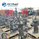 China RKSfluid Factory 1 Micron Carbon Steel Flanged Basket Filter housing Custom for for Wastewater Treatment manufacturer