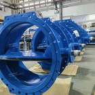 Chine Fabricant de vannes papillon double excentrique ATHENA pour les systèmes d'eau municipaux fabricant