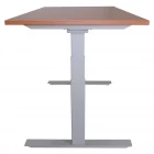 China Adjustable Height Standing Desk with Electric Push Button Black Base, 24‘’-50‘’Height Range fabrikant