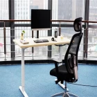China Metal desk height adjustable computer workstation ergonomics fabrikant