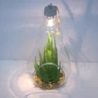 Chiny Personalized Attractive Hanging Glass Ornament producent