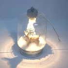 Cina Pouplar Wholesale Good Quality Lighted Ornament produttore