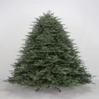 Chine artificial cactus christmas tree musical christmas tree lights christmas tree fences indoors fabricant