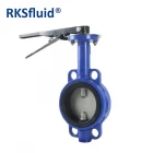 China API Hot Sale SS304 Manual Centerline Ductile Iron DN500 Wafer Type Butterfly Valve Price manufacturer