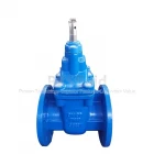 Chine AWWA C500 Ductile Iron DI Body Hard Seal Metal Seated Flange Gate Valve PN10 PN16 for Water Use fabricant
