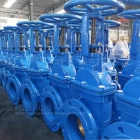 중국 BS 5163 상승 스템 탄력성 좌석 플랜지 게이트 밸브 CE 물에 대한 승인 제조업체