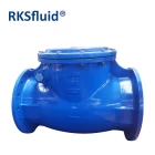 China BS5153 PN10 PN16 ductile iron resilient seated EPDM NBR sealing swing check valve with lever or counter weight manufacturer