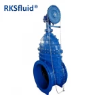China BS5163 DN700 Big Size Non-Rising Stem Resilient Wedge Gate Valve Pn10/16/25 with Chain Wheel manufacturer
