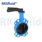 China Butterfly valve manufacturers butterfly valve with nylon coated disc valve supply manufacturer