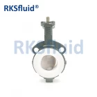 China China Chinese butterfly valve DN65 3IN wafer lug PTFE PFA disc seat acid application manufacturer