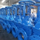 Chine Valve d'eau chinoise usine AWWA C500 CASLE DUCTILE FER FER RISSION MÉTAL METAL SAPE SAPPORT PN10 PN16 CLASSE150 fabricant