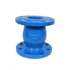 China EN 1092-2 pn10/16 ductile cast iron material silence non return  flanged nozzle type check valve manufacturer