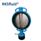 China High Quality 150 lbs Ductile Cast Iron Wafer Type Butterfly Valve DN250 PN16 Price manufacturer
