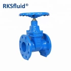 China PN10 16 25 flanged BS5163 DN 50 80 100 200 300 400 500 600 cast ductile iron reselient seated gate valve manufacturer