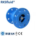 中国 RKSfluid工場メーカーDIN 3INCH PN16延性鉄の静かなフランジ色のチェックバルブPrice メーカー