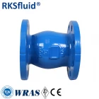 China RKSfluid PN16 nozzle check valve ductile iron DN80 3“ flange silent check valve price manufacturer