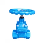 중국 RKSfluid  chinese 2" gate valve dn50 pn10 ggg50 resilient seated soft seal gate valve price 제조업체