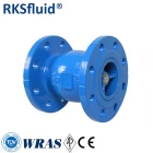 China Fabricantes de válvula de retenção do bico RKSfluid EN 558-1 Válvula de retenção silenciosa de ferro dúctil DN200 pn16 fabricante