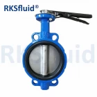 China Resilient epdm seated handle wafer centered bfv disc 3 in butterfly valve price manufacturer