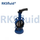 China Stainless steel butterfly valve SS valve manufacturer