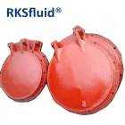 中国 RKS铸钢回转式双对夹瓣止回阀蝶形 制造商