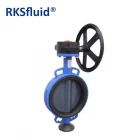 China worm gear butterfly valve with Pin PN16 JIS10k manufacturer