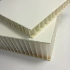 Chine Panneau sandwich de nid d'abeilles de polyester renforcé de fibre de verre FRP pp fabricant