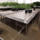 China New Premium Growing Tray 4x8 Flood Trays Ebb and Flow System Rolling Bench Grow Tables manufacturer