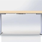 porcelana High precision Electric adjustable height standing desk fabricante