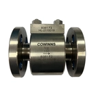 China 1/2 '' ASTM A381 F2 150lB FF Flanschkolben -Scheckventil Hersteller