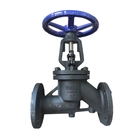 Chine DN65 PN 16 WCB RF valve manuelle d'arrêt pour antibiotiques fabricant