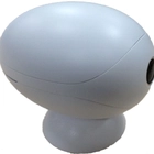 Китай P2P WIFI беспроводной IP-камеры (RCM-WF101) производителя