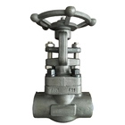 Chine Valve de vanne 1/2 "A182 F11 1500LB SW fabricant