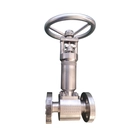 Chine Poignée actionnée par la roue DN15 PN16 ASTM B182 F904L forgée dur face siège fabricant