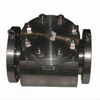 Chine Clapet anti-retour à piston 4 '' 300LB B381 F2 fabricant