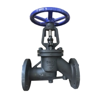 Chine DN65 PN 16 WCB RF valve manuelle d'arrêt pour antibiotiques fabricant