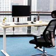 porcelana Metal desk height adjustable computer workstation ergonomics fabricante