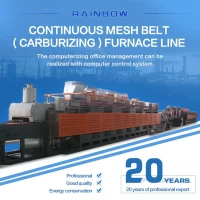 China High Efficiency Energy Conservation Hardening Furnace 150 kg Mesh Belt Furnace with Cleaning tank manufacturer