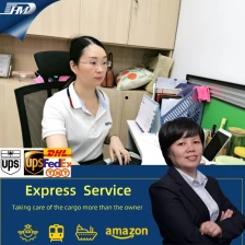 China Spediteur in Guangzhou China zu Philippinen Express-Service 