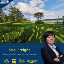 China Shenzhen penghantaran pengangkutan ke Singapura oleh laut. 