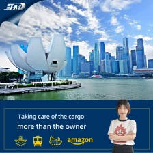Cina Servizio di logistica del trasporto marittimo DDP da Guangzhou Ningbo a Singapore 