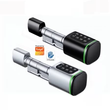 Chine Cylindre intelligent Standard européen avec TTlock Tuya Bluetooth taille de cylindre réglable clé de carte de mot de passe électronique serrure intelligente fabricant