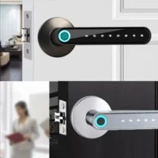 China Fingerprint Lock with Handle Smart Digital Lock for Home Office Hotel Zinc Alloy Material Indoor Lever Security Lock manufacturer